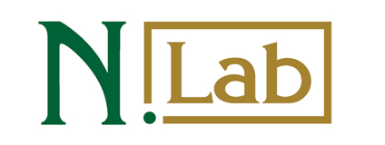 N.LAB Global Retina Logo